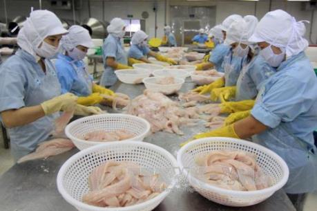 Quy định mới của Mỹ gây khó cho cá tra Việt Nam