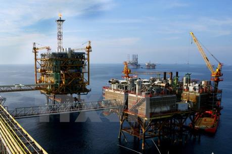 Giới chuyên gia dự báo giá dầu mỏ tiếp tục giảm sâu