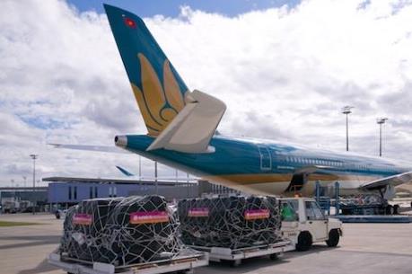 Cục Hàng không Việt Nam phản hồi về việc hãng bay khó xin slot tại nước ngoài