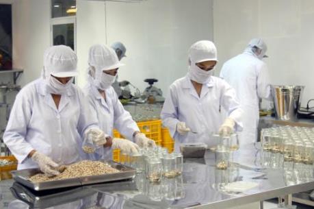 Những công nghệ "lạ" tại Techmart công nghệ sau thu hoạch