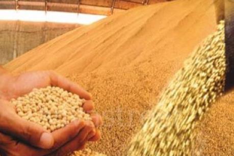 Mỹ Latinh đứng đầu thế giới về xuất khẩu lương thực