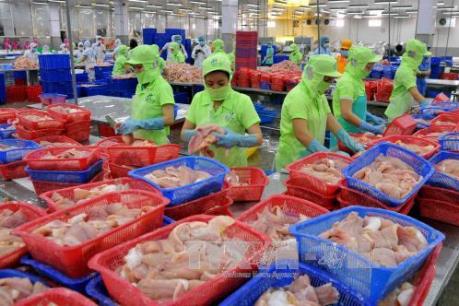 Bảo vệ nguồn lợi thủy sản vẫn chỉ thấy hô hào