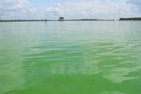 Ô nhiễm môi trường, sông Sài Gòn đang "hấp hối"