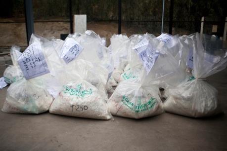 Cảnh sát Bỉ và Italy phá vỡ đường dây buôn bán ma túy xuyên quốc gia