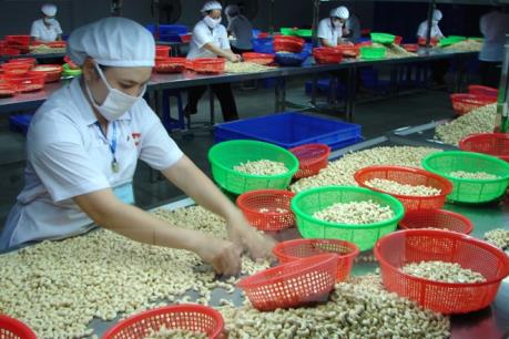 Hạt điều Việt Nam có mặt tại Hội chợ - Triển lãm lớn nhất Hong Kong (Trung Quốc)
