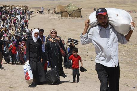 8% người di cư dùng hộ chiếu Syria giả để xin tị nạn tại Đức