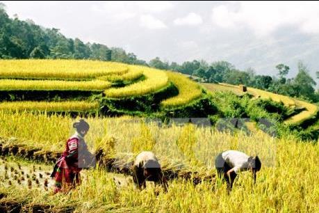 Gần 2,4 triệu lượt hộ thoát nghèo nhờ nguồn vốn tín dụng