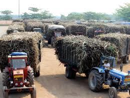 Mía Đường Thành Thành Công thông tin rõ về giá thu mua mía đường