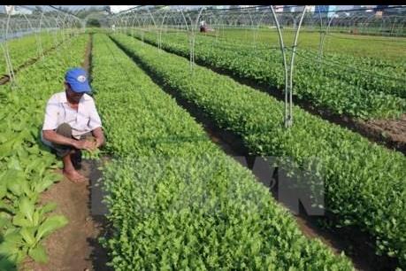 Quảng Ninh kêu gọi doanh nghiệp đầu tư vào nông nghiệp