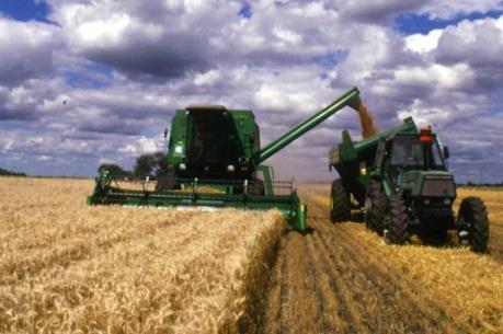 Ukraine tham vọng trở thành nhà xuất khẩu thực phẩm hàng đầu châu Âu