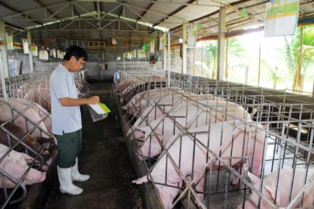 Bộ NN&PTNT siết chặt quản lý chất cấm trong chăn nuôi