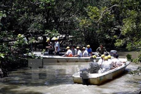 TP.HCM xin mở rộng Khu du lịch lấn biển Cần Giờ lên 1.080 ha