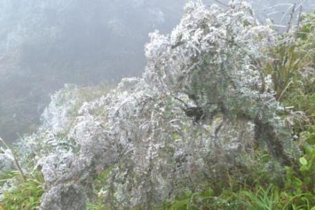 Dự báo thời tiết ngày mai 19/12: Băng giá có khả năng tiếp diễn