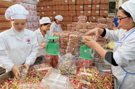 Hà Nội: Thu giữ gần 1 tấn ô mai và kẹo không rõ nguồn gốc