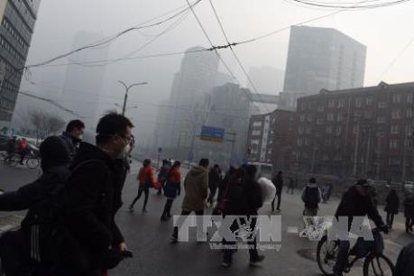 Ô nhiễm không khí là nguyên nhân hàng đầu gây bệnh đột quỵ