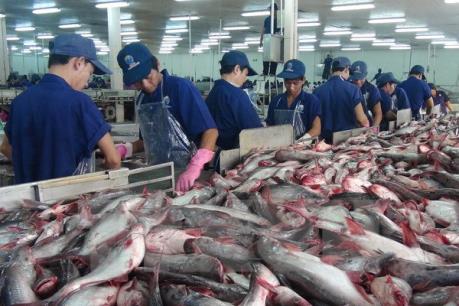 Thủy sản Việt Nam chỉ chiếm "góc nhỏ" trên thị trường toàn cầu