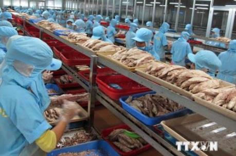 Năm 2016, xuất khẩu thủy sản dự báo sẽ tăng trưởng trong khó khăn