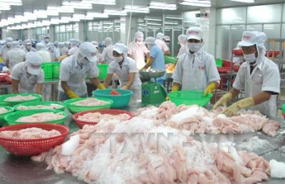 Xuất khẩu cá tra trong năm 2016 tiếp tục giảm