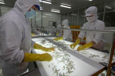 Ngành thủy sản tăng trách nhiệm xã hội trước yêu cầu hội nhập