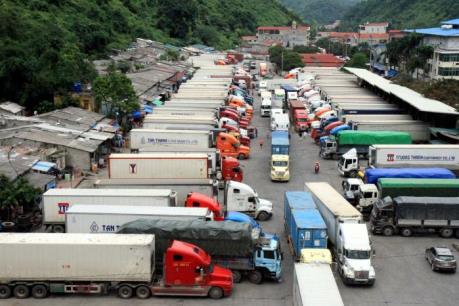 Tìm giải pháp tránh ùn ứ khi dưa hấu vào vụ