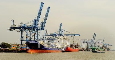 Doanh nghiệp tiết kiệm hàng trăm triệu nhờ thủ tục hàng hải rút gọn