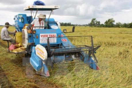 Thực hiện "3 giảm 3 tăng" để tăng hiệu quả khuyến nông