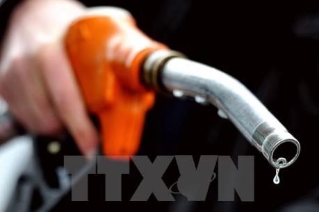 Sản lượng dầu của Nga tăng kỷ lục bất chấp giá thấp