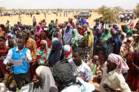 ODA tăng cao kỷ lục trong năm 2014