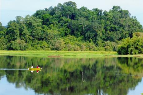 Tạm ngưng dự án làm đường trong vùng lõi Vườn Quốc gia Cát Tiên