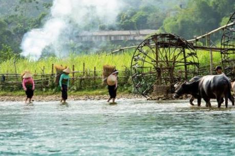 Mãn nhãn với “Việt Nam trong trái tim tôi”