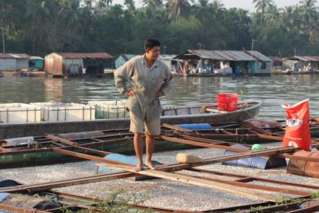 Xác định nguyên nhân cá chết hàng loạt trên sông Đồng Nai