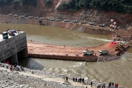 EVN chi hàng nghìn tỷ đồng cho việc trồng rừng