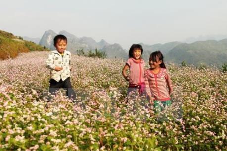 Dự báo thời tiết: Bắc bộ ngày nắng, lạnh về đêm và sáng