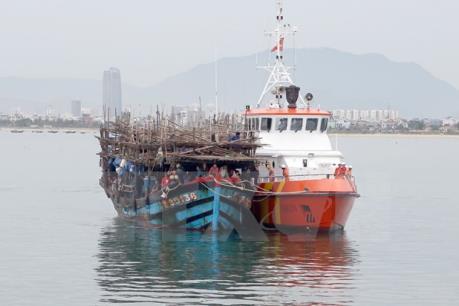 Cứu hộ an toàn 8 ngư dân tàu cá Bình Định