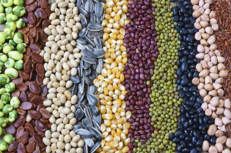 Nhìn lại thị trường nông sản tuần qua