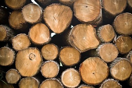 Pisico Bình Định đưa 27,5 triệu cổ phiếu lên UPCoM