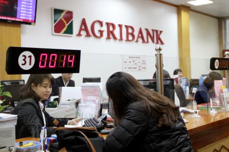 Tỷ giá trung tâm ngày 12/1 tăng tiếp 2 đồng