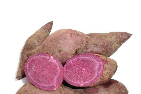 Singapore bác tin khoai lang Việt Nam có độc tố