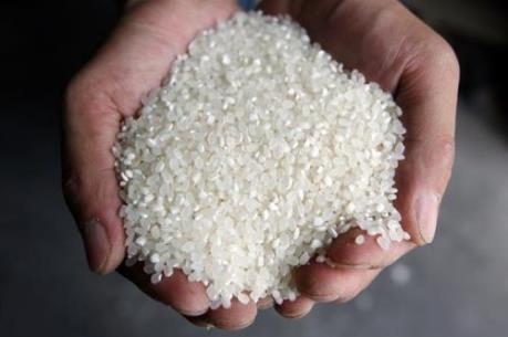 Cảnh báo việc bổ sung chất sắt vào gạo ăn cho trẻ em