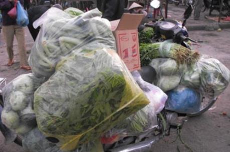Khẩn trương xác minh thông tin cung cấp rau không an toàn cho 7 trường tiểu học ở Hà Nội