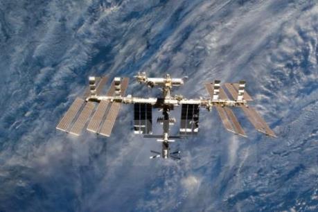 Bông hoa đầu tiên được trồng trên vũ trụ đã nở