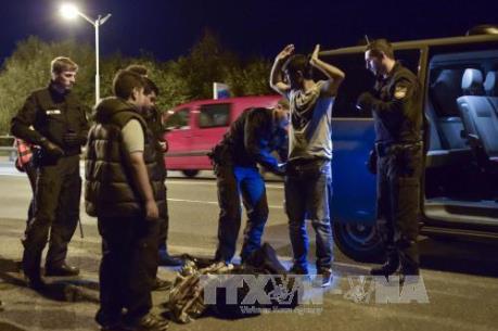 Vấn đề người di cư: Đức bắt giữ 40 đối tượng trong chiến dịch truy quét tội phạm di cư