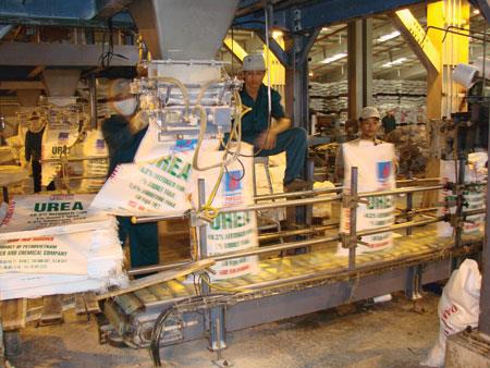 DPM phát hành 11,4 triệu cổ phần ESOP