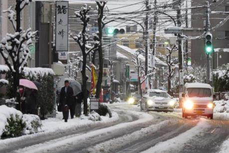 Nhật Bản: Tuyết rơi dày khiến giao thông gián đoạn