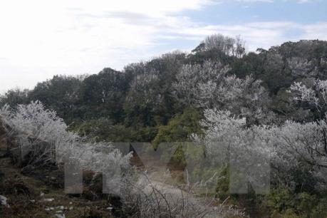 Dự báo thời tiết: Không khí lạnh rất mạnh sẽ ảnh hưởng tới vùng núi phía Bắc