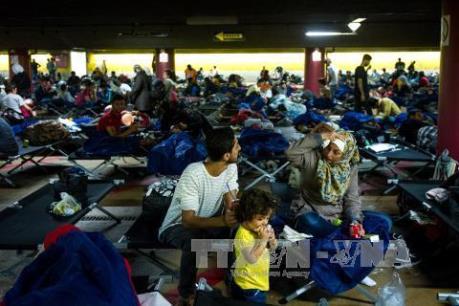 Vấn đề người di cư: IMF hối thúc EU mở cửa thị trường việc làm cho người tị nạn