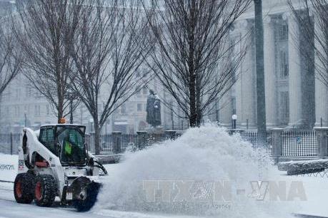 Bờ Đông nước Mỹ hứng chịu bão tuyết 