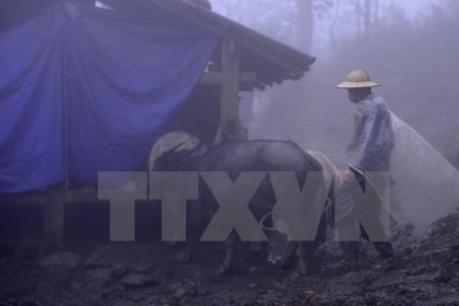 Rét đậm rét hại toàn miền Bắc, Hà Nội có nền nhiệt thấp nhất từ 5 độ C