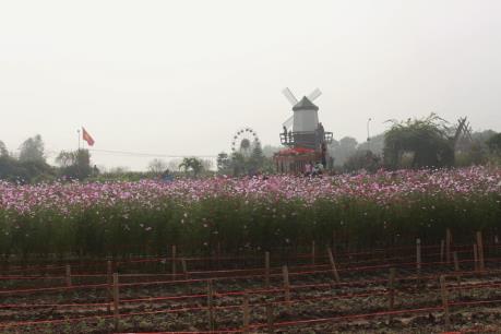 Dịch vụ chụp ảnh với hoa “nóng” ngày giáp Tết