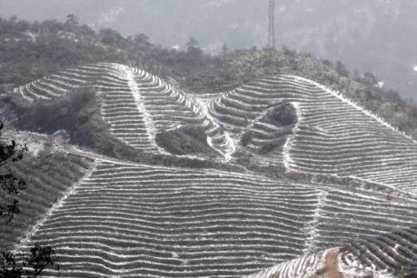 Giao thông khó khăn do băng dày hơn 1cm phủ kín mặt Quốc lộ 4D